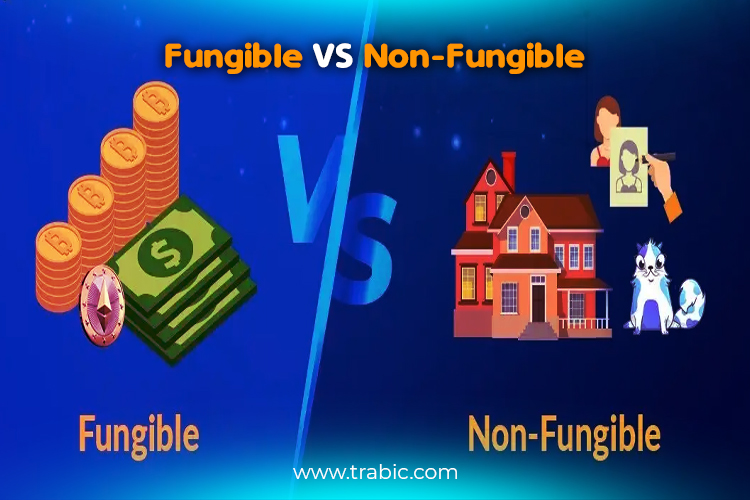 Differences between Fungible and Non-Fungible