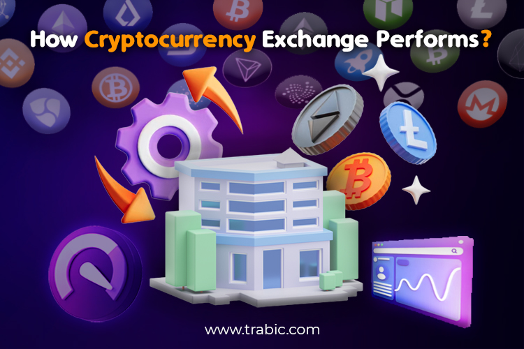How Crypto Exchange Performs