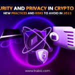 Security and Privacy in the Age of Cryptocurrency