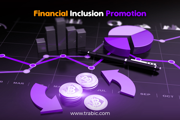 Financial-Inclusion-Promotion