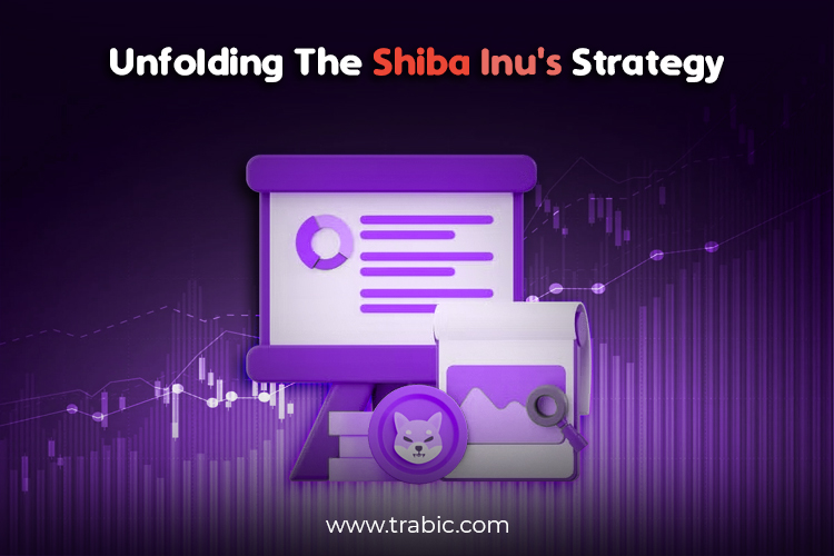 Unfolding-the-Shiba-Inu-Strategy