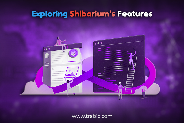 Unveiling-Shibarium's-Features